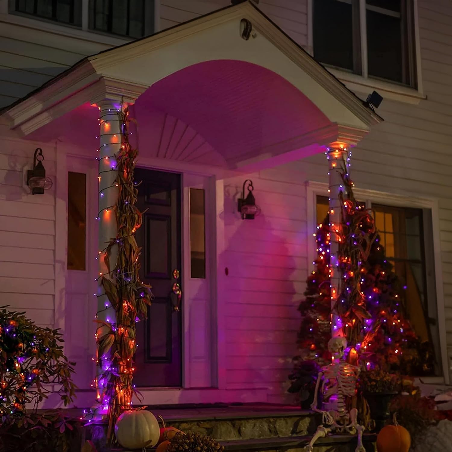 Dazzle Bright 164 FT 500 LED H - Halloween Led String Lights Orange 评论和价格