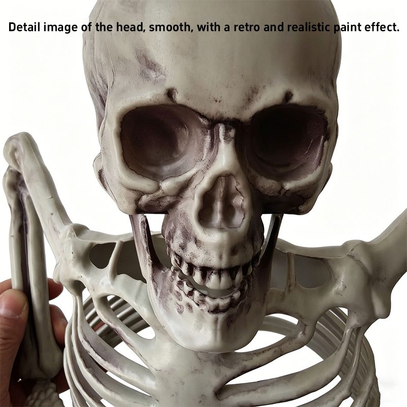 Horror Half Skeleton Skull Orn - Halloween Skeleton Decoration 评论和价格